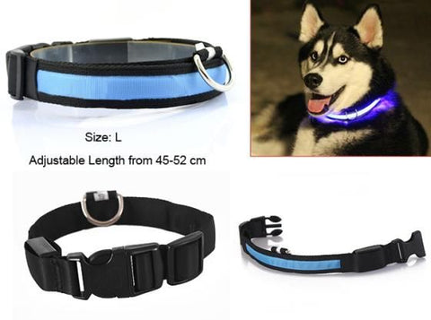 LED Dog Collar