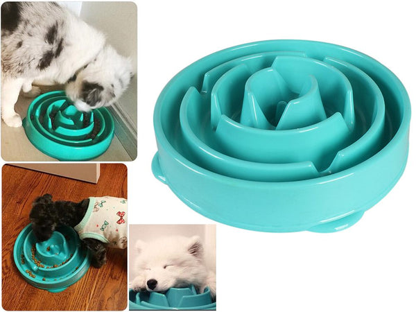 Slow feed dog bowl