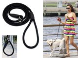 Dog Leash