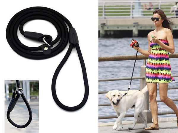 Dog Leash