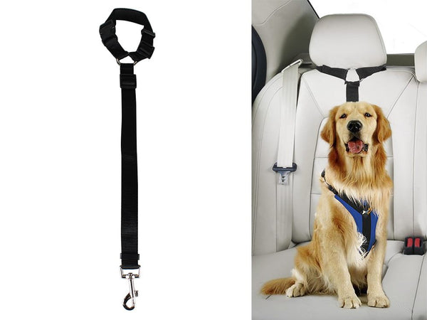 Dog Car Seat Belt