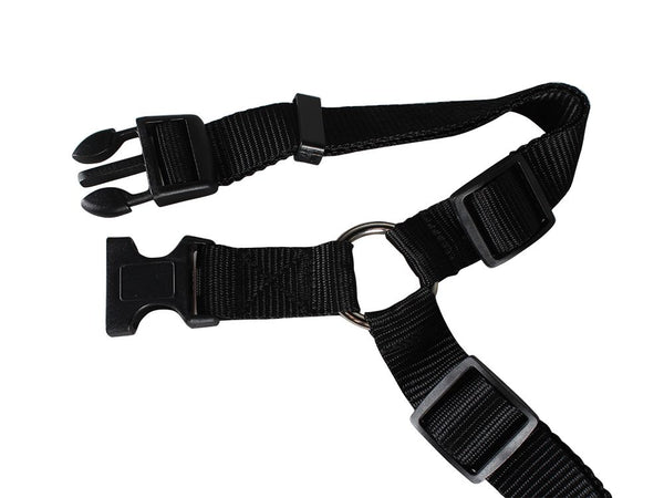 Dog Car Seat Belt