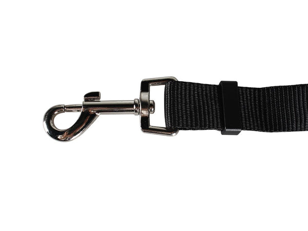 Dog Car Seat Belt