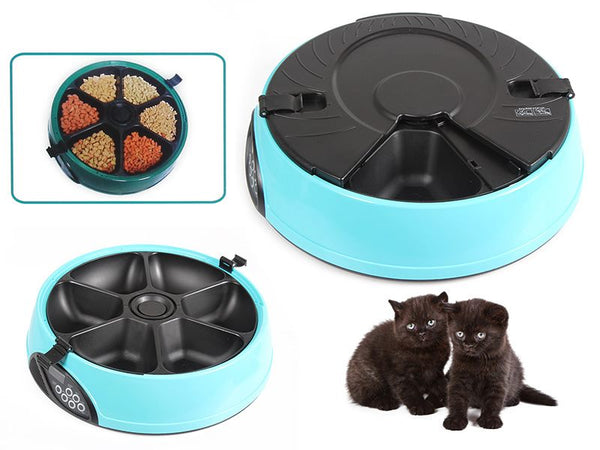 Pet Feeder