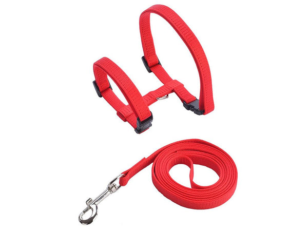 Adjustable Strap Walking Lead