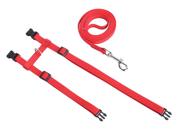 Adjustable Strap Walking Lead