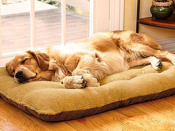 Large Dog Bed