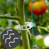 100pcs 2.5cm White Plant Clip Fixed Tomato Clips