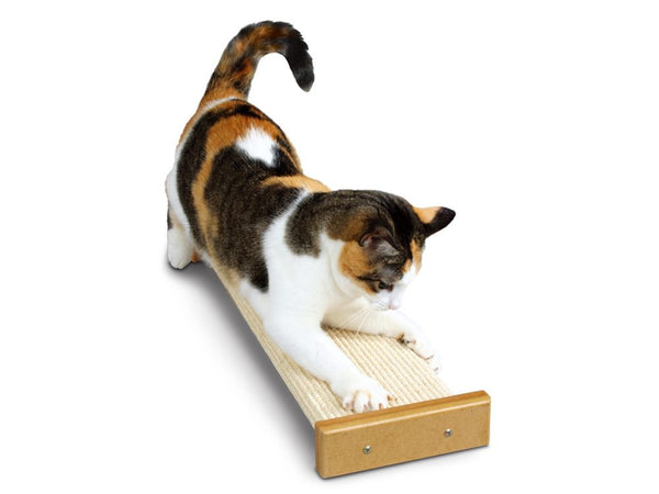 Cat Scratching Post