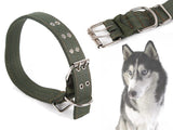 Dog Collar