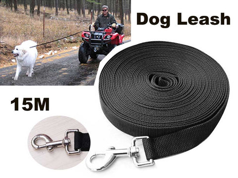 Dog Lead Dog Leash