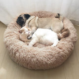 Dog Bed M