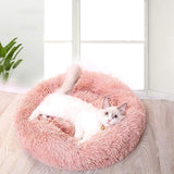 Cat Bed M