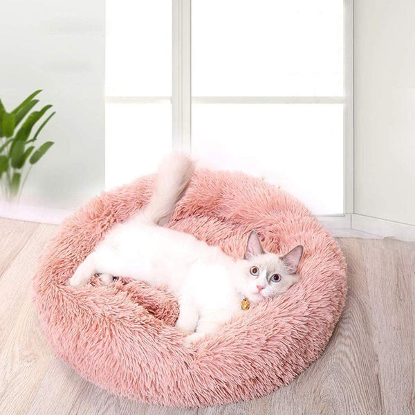 Cat Bed M