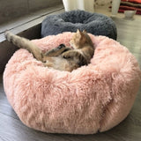 Cat Bed M