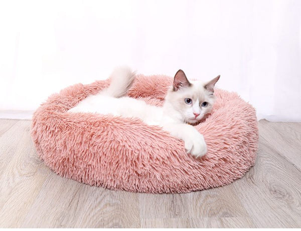 Cat Bed M