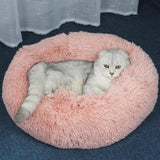 Cat Bed M