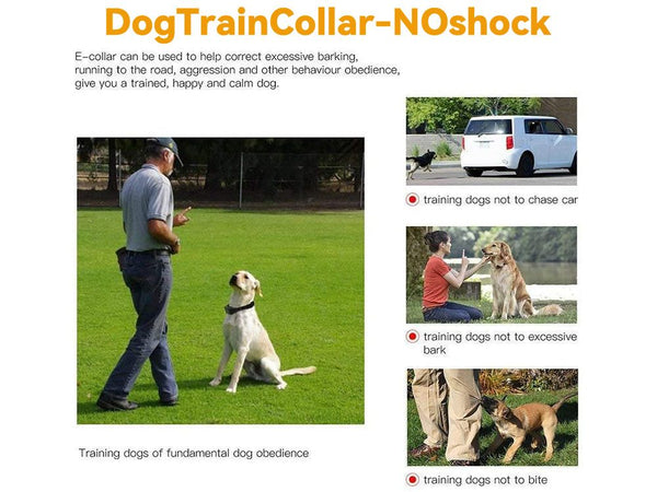 Dog Bark Collar Anti-Bark Dog Collar + Charger