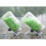 Seeds Vegetable Sprouting Stands & Lids Set