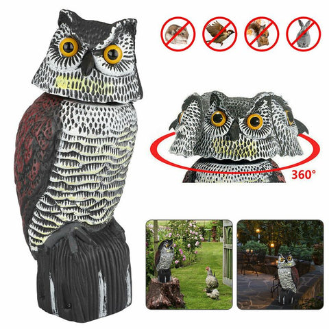 Bird Owl Scarer